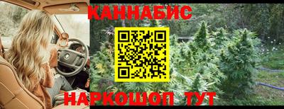 прущие крисы Отрадный