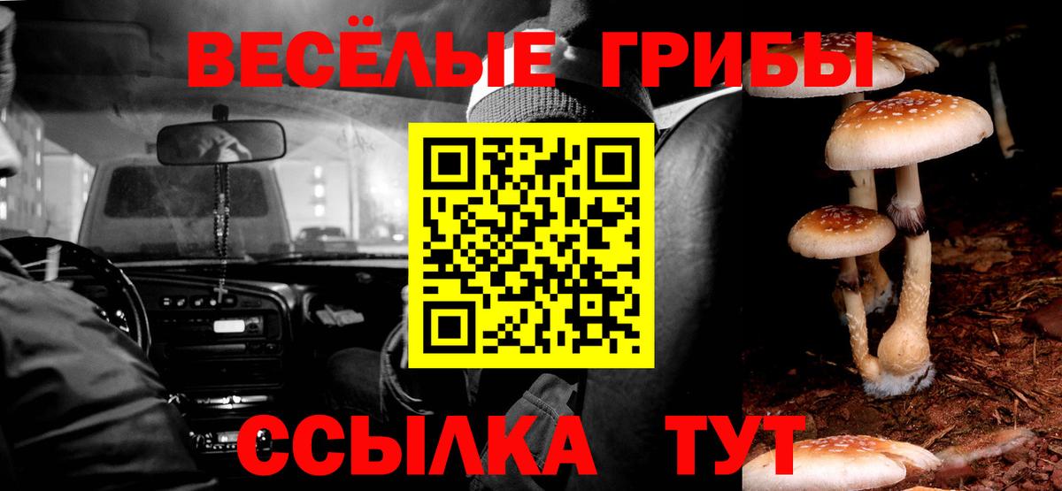 Псилоцибиновые грибы Psilocybe Нижневартовск
