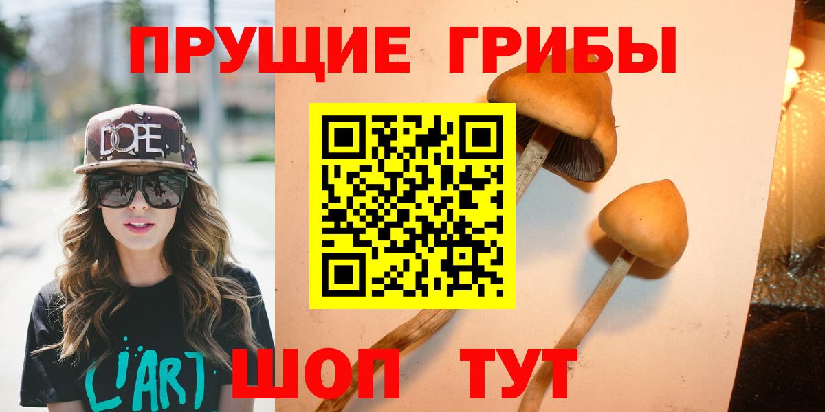 Псилоцибиновые грибы Psilocybine cubensis  Псилоцибиновые грибы GOLDEN TEACHER  Нижневартовск  Вход с VPN 
